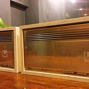 Ampli Ingot 2