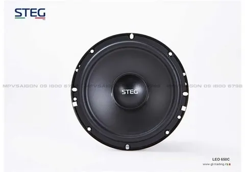 Loa cánh phân tần STEG LEO - 650C - Ảnh 3