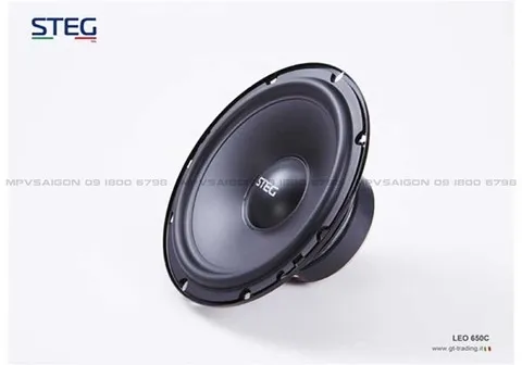 Loa cánh phân tần STEG LEO - 650C - Ảnh 4