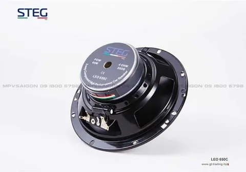 Loa cánh phân tần STEG LEO - 650C - Ảnh 5