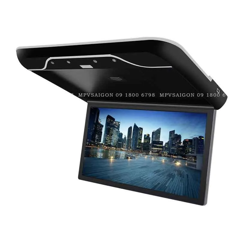 Màn hình trần Panorama cho xe cửa sổ trời toàn cảnh - Ảnh 24