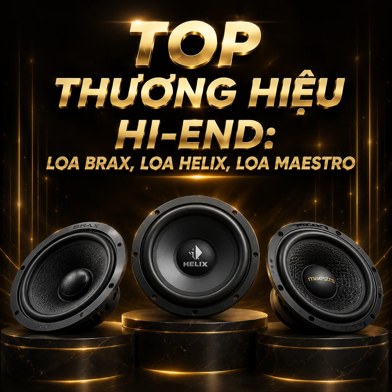 Độ Loa oto BRAX - HELIX - MAESTRO