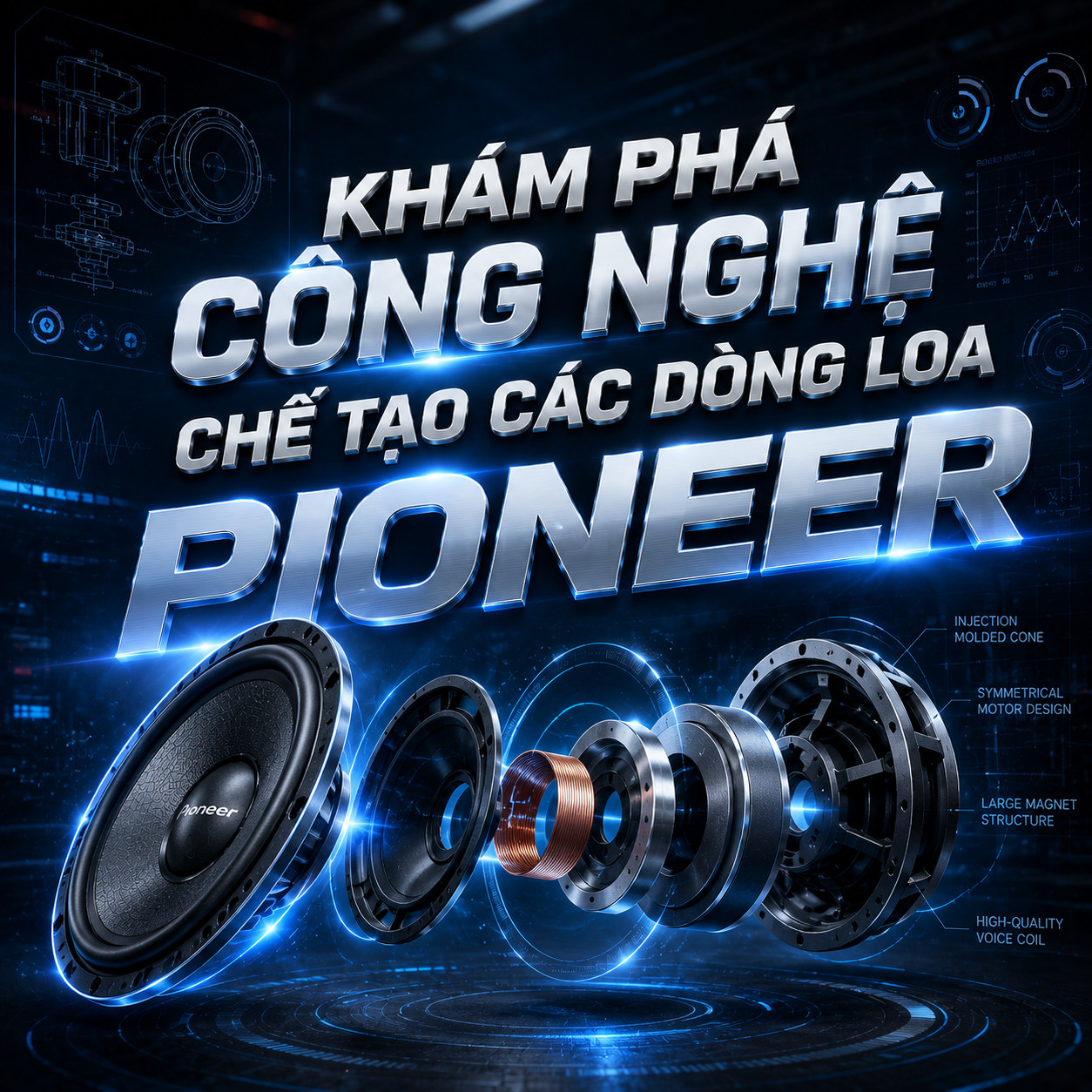 do loa pioneer