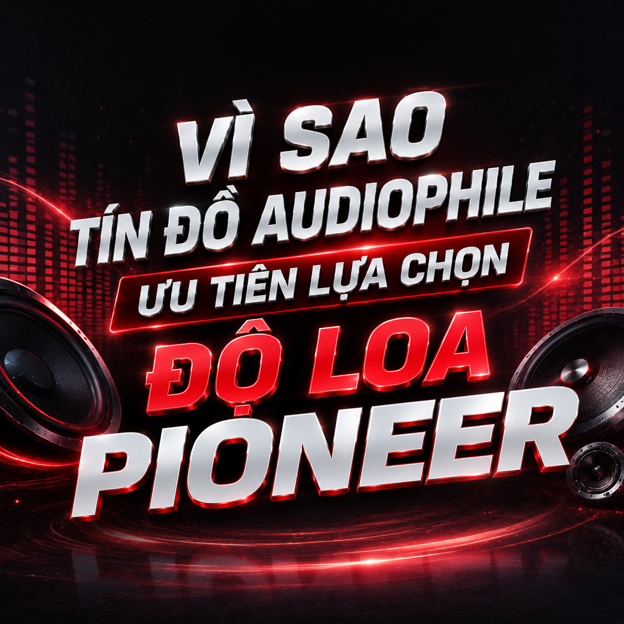 do loa pioneer