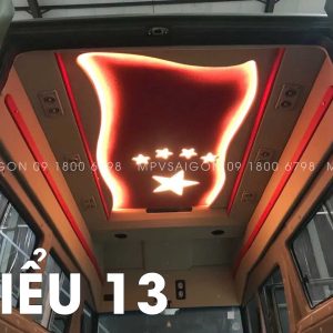 CÁC MẪU ĐÈN TRẦN MERCEDES BENZ V250 TẠI MPVSAIGON