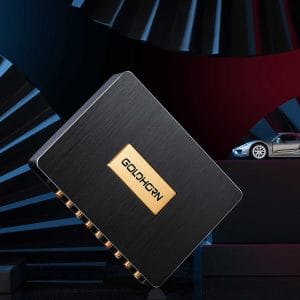 GOLDHORN DSD P2 PRO