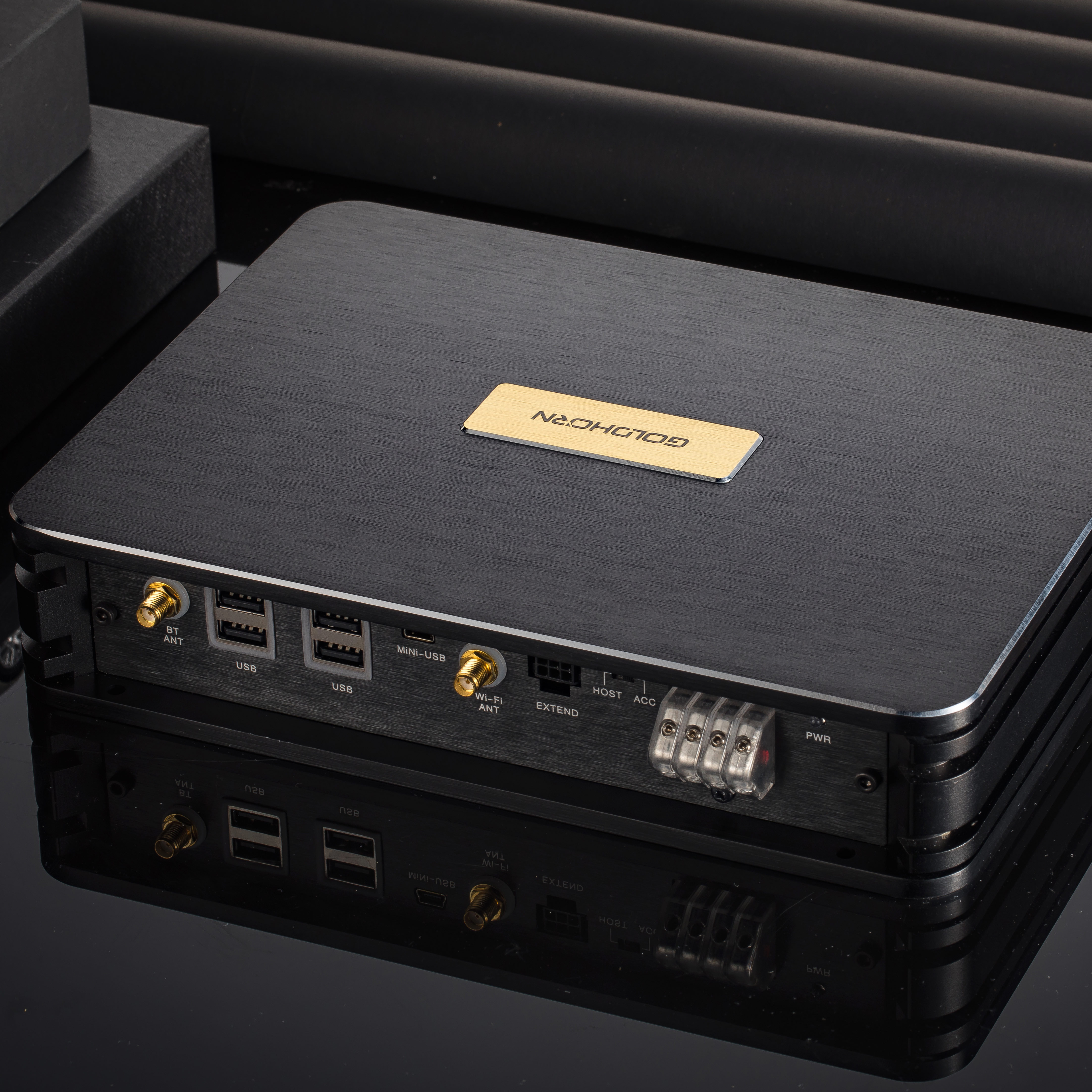 GOLDHORN DSP P2 PRO V2