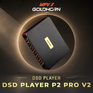GOLDHORN DSP P2 PRO V2