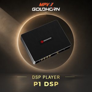 BỘ XỬ LÝ CHẤT LƯỢNG CAO GOLDHORN P1 DSP - 10 CHANNEL DSP/DSD