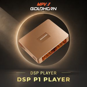 ĐẦU PHÁT CHẤT LƯỢNG CAO GOLDHORN P1 PLAYER