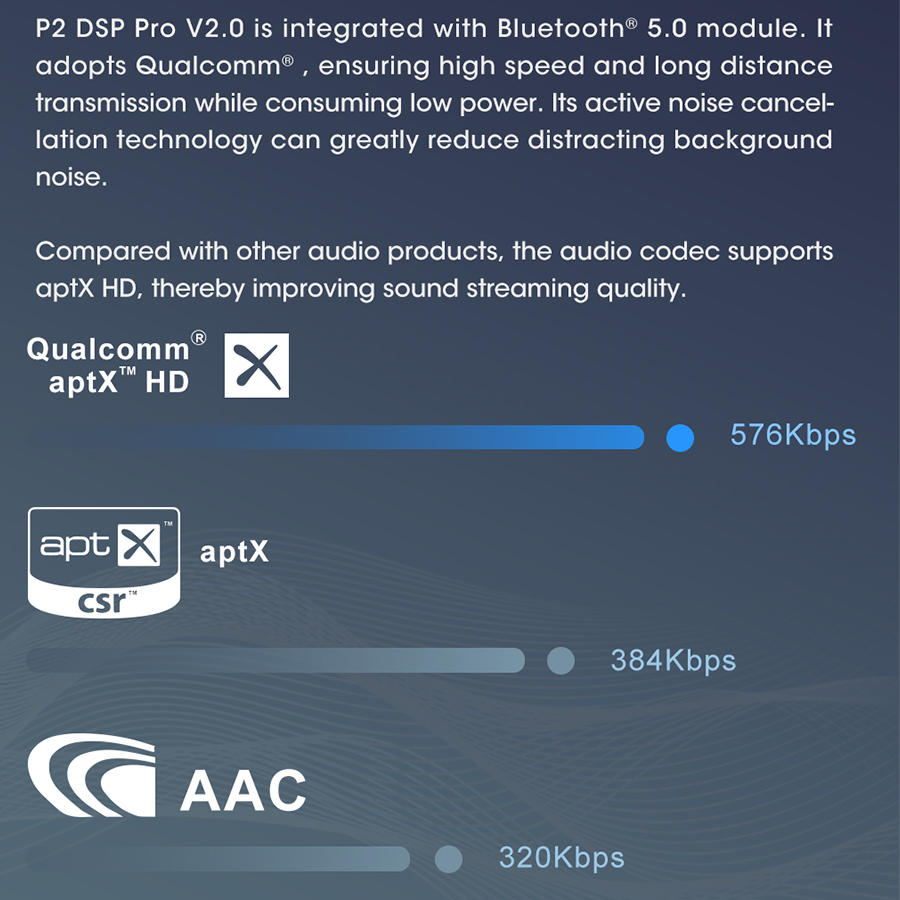 GOLDHORN DSD P2 PRO V2