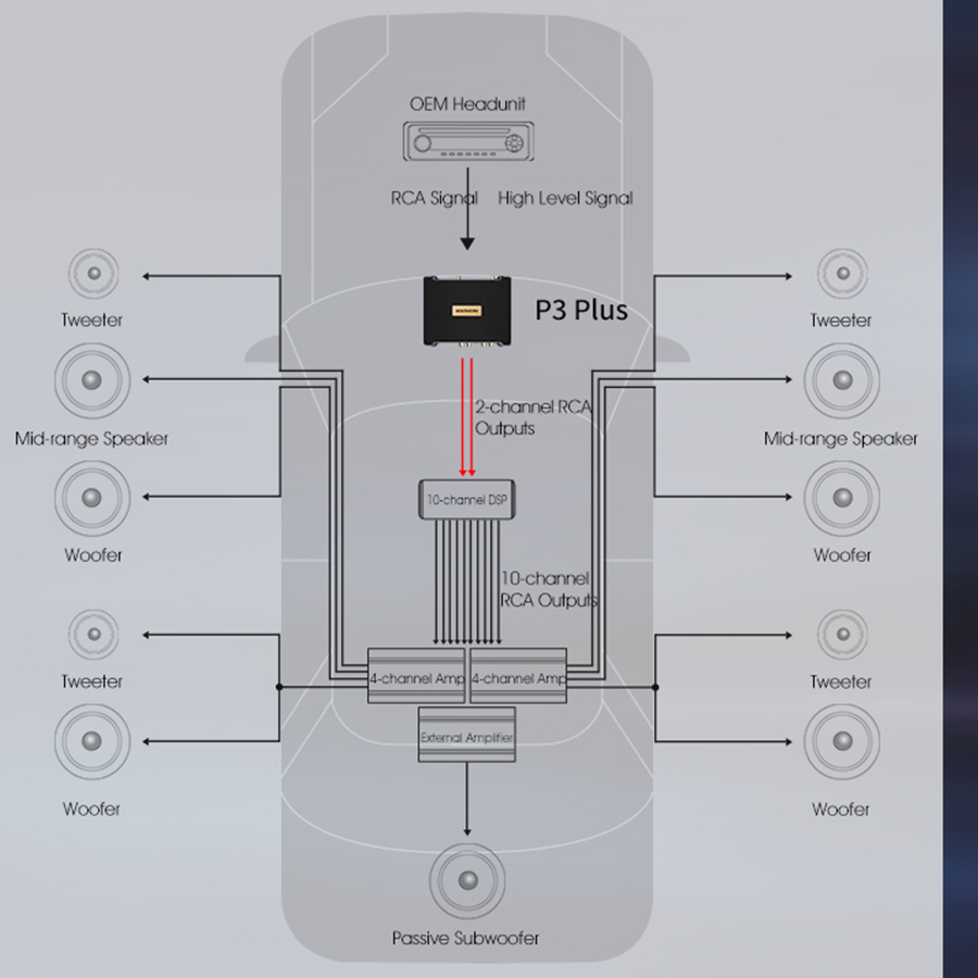 goldhorn dsp p3 plus