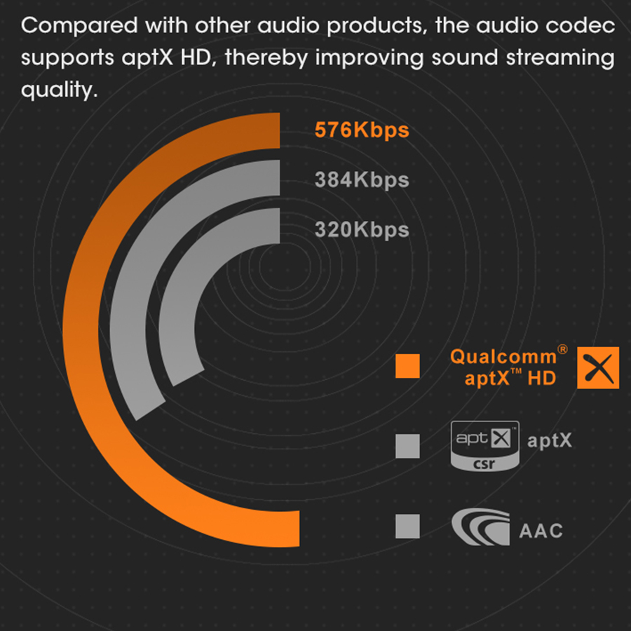 Goldhorn P5 DSP Ultra – Bộ xử lý tín hiệu & DSD Player cao cấp