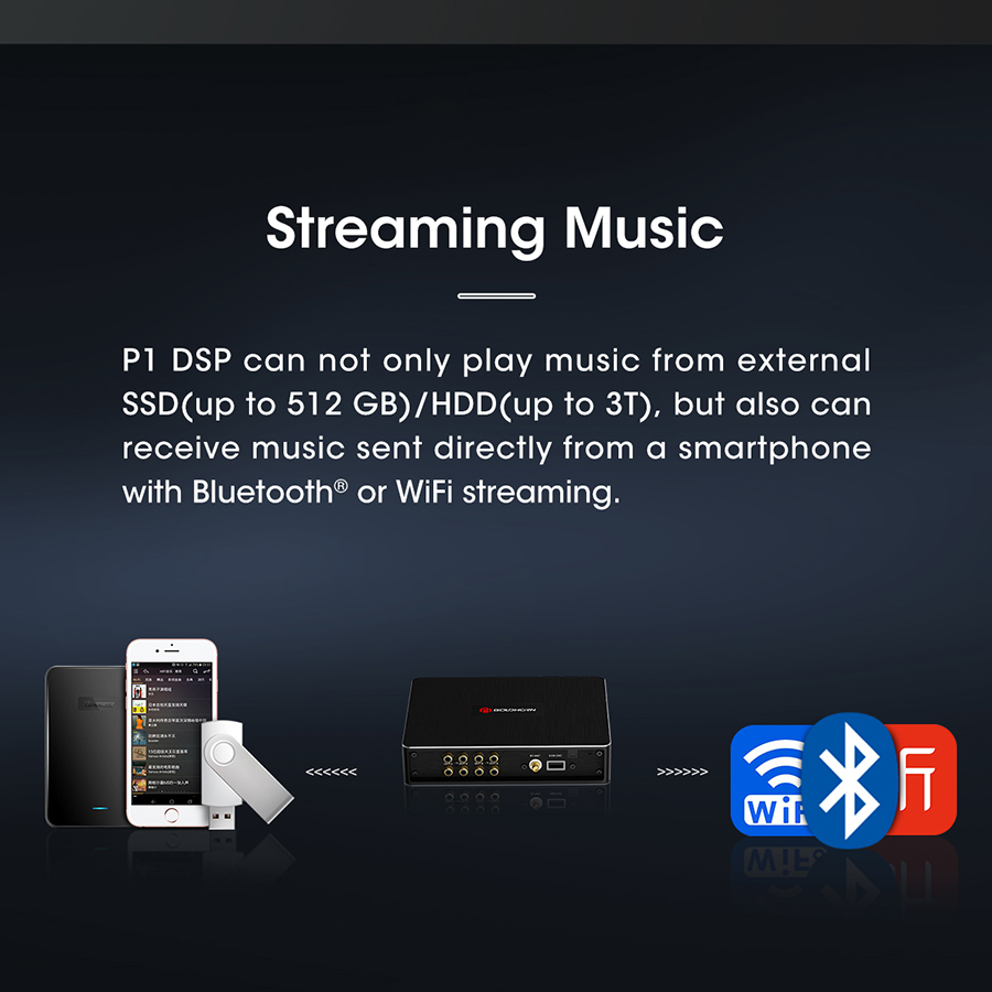BỘ XỬ LÝ CHẤT LƯỢNG CAO GOLDHORN P1 DSP - 10 CHANNEL DSP/DSD