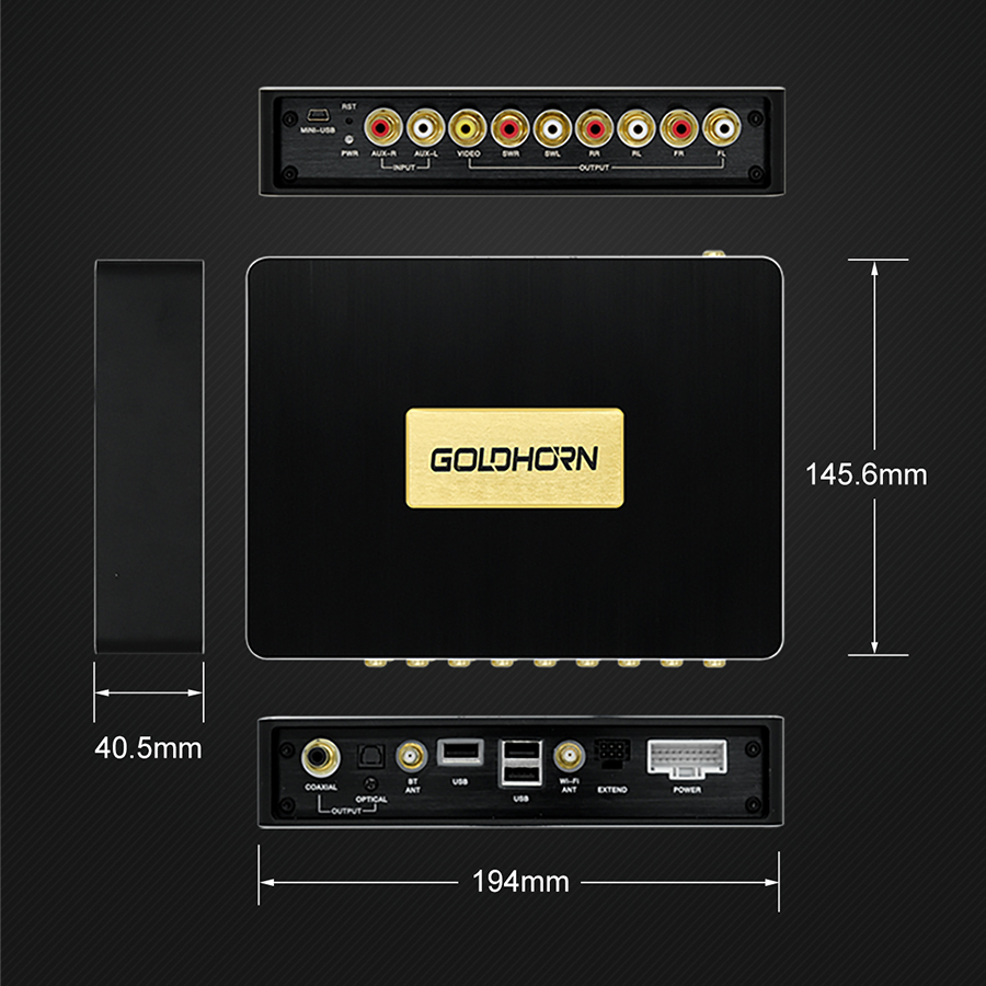 GOLDHORN DSD P2 PRO
