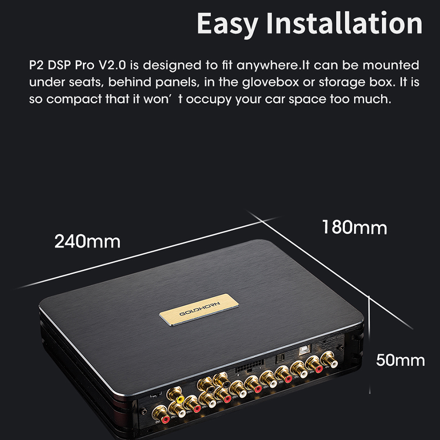 GOLDHORN DSD P2 PRO V2
