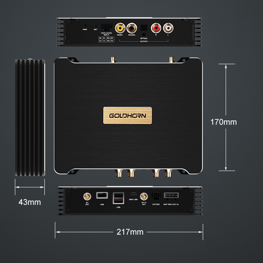 goldhorn dsp p3 plus