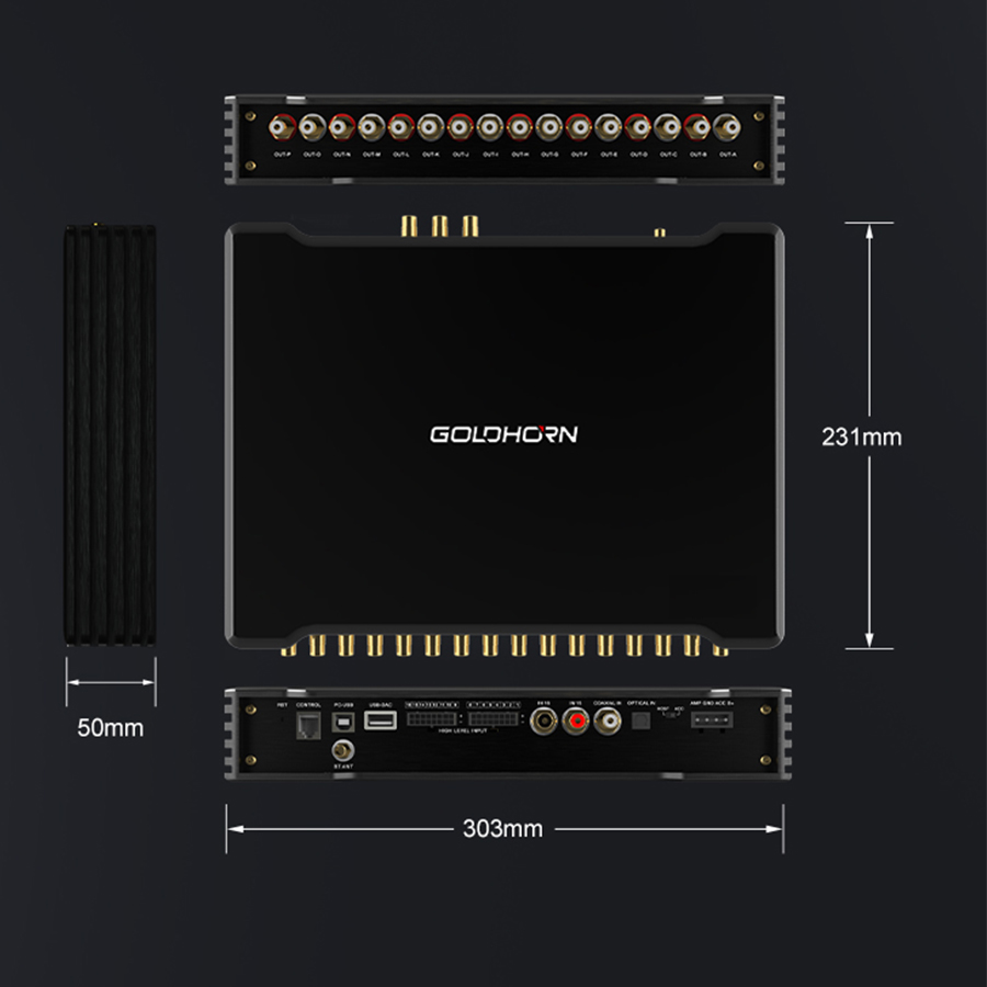 goldhorn dsp p16