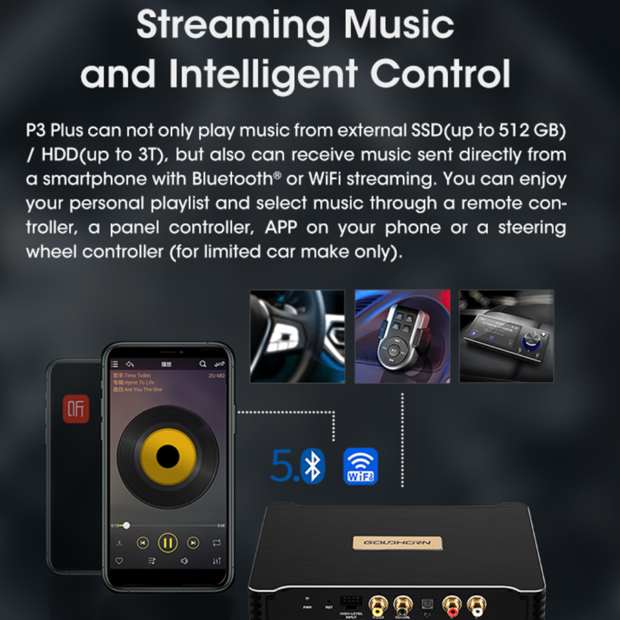 goldhorn dsp p3 plus