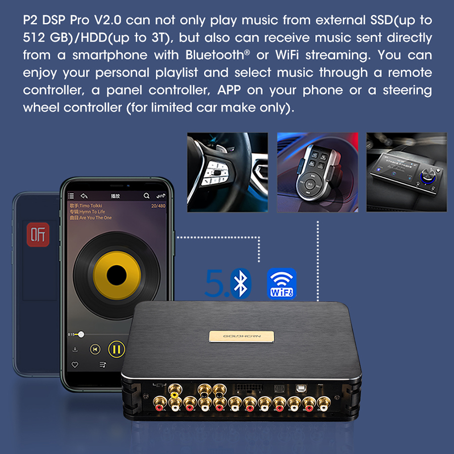 GOLDHORN DSD P2 PRO V2