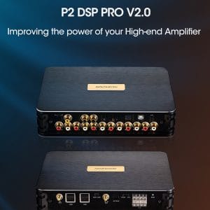 GOLDHORN DSP P2 PRO V2