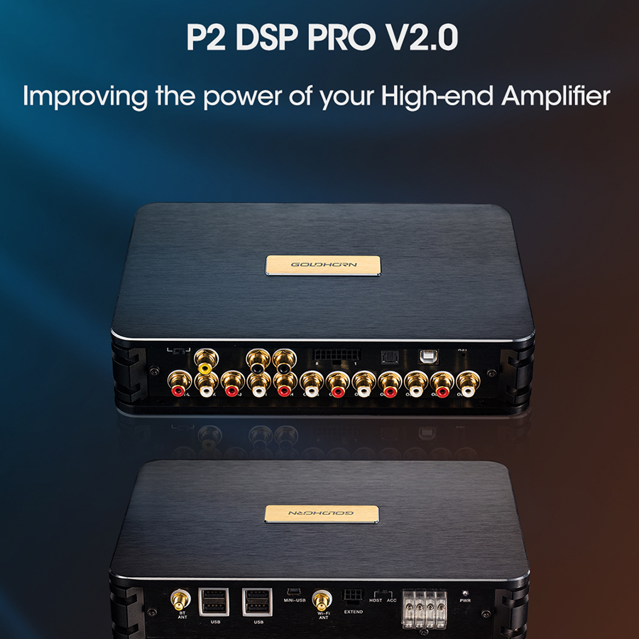 GOLDHORN DSP P2 PRO V2