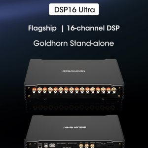 goldhorn dsp p16