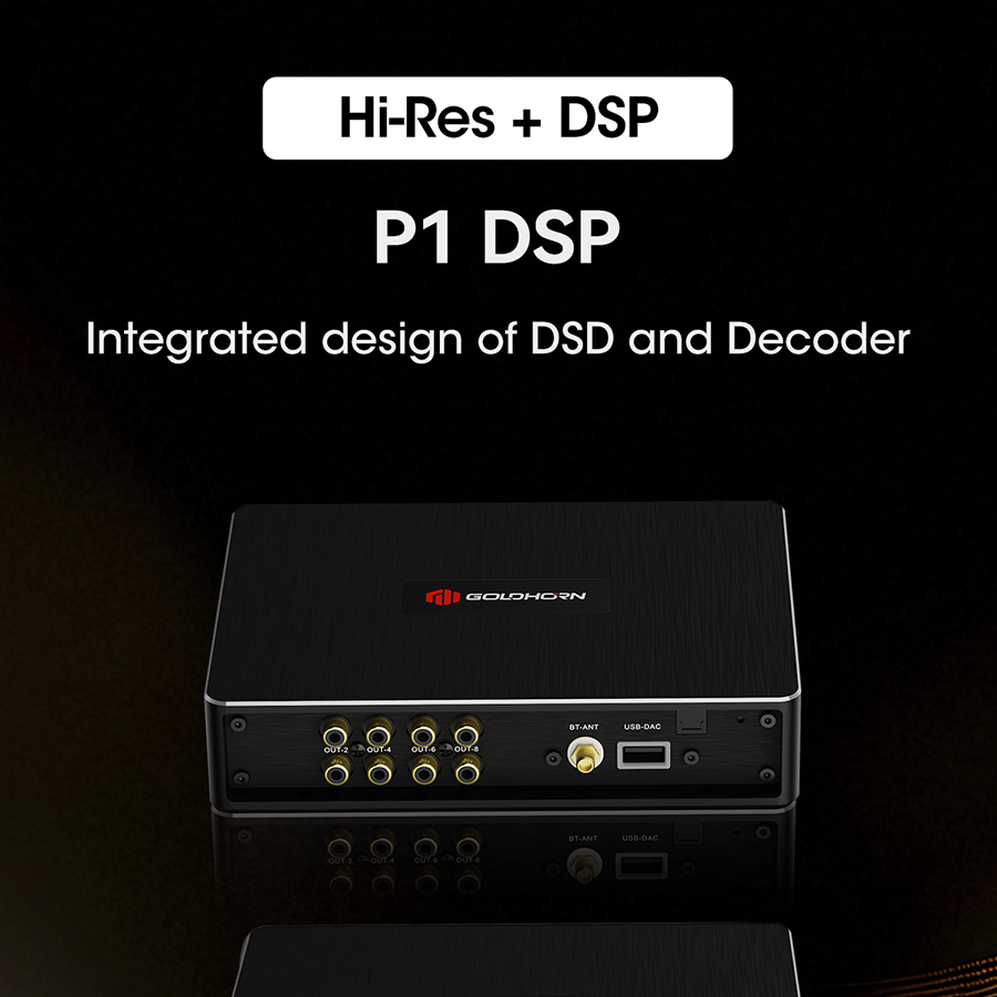 BỘ XỬ LÝ CHẤT LƯỢNG CAO GOLDHORN P1 DSP - 10 CHANNEL DSP/DSD