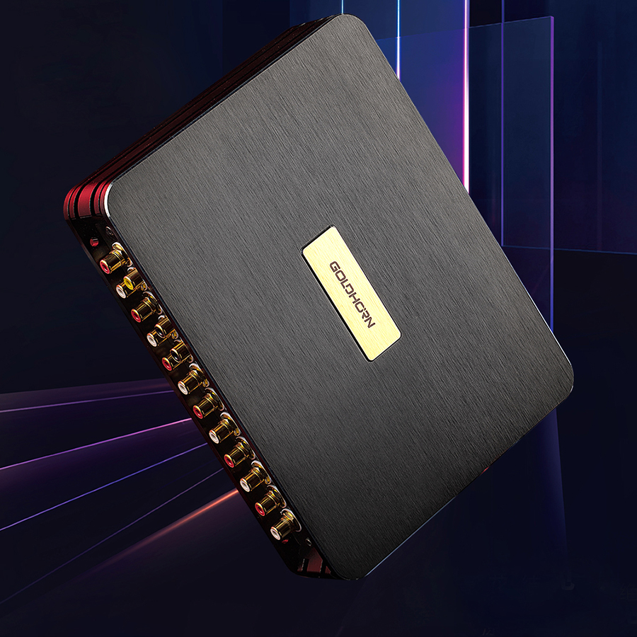 GOLDHORN DSP P2 PRO V2