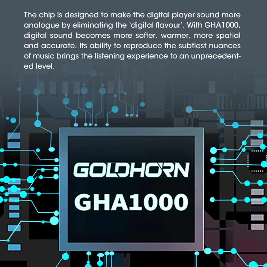 GOLDHORN DSD P2 PRO V2