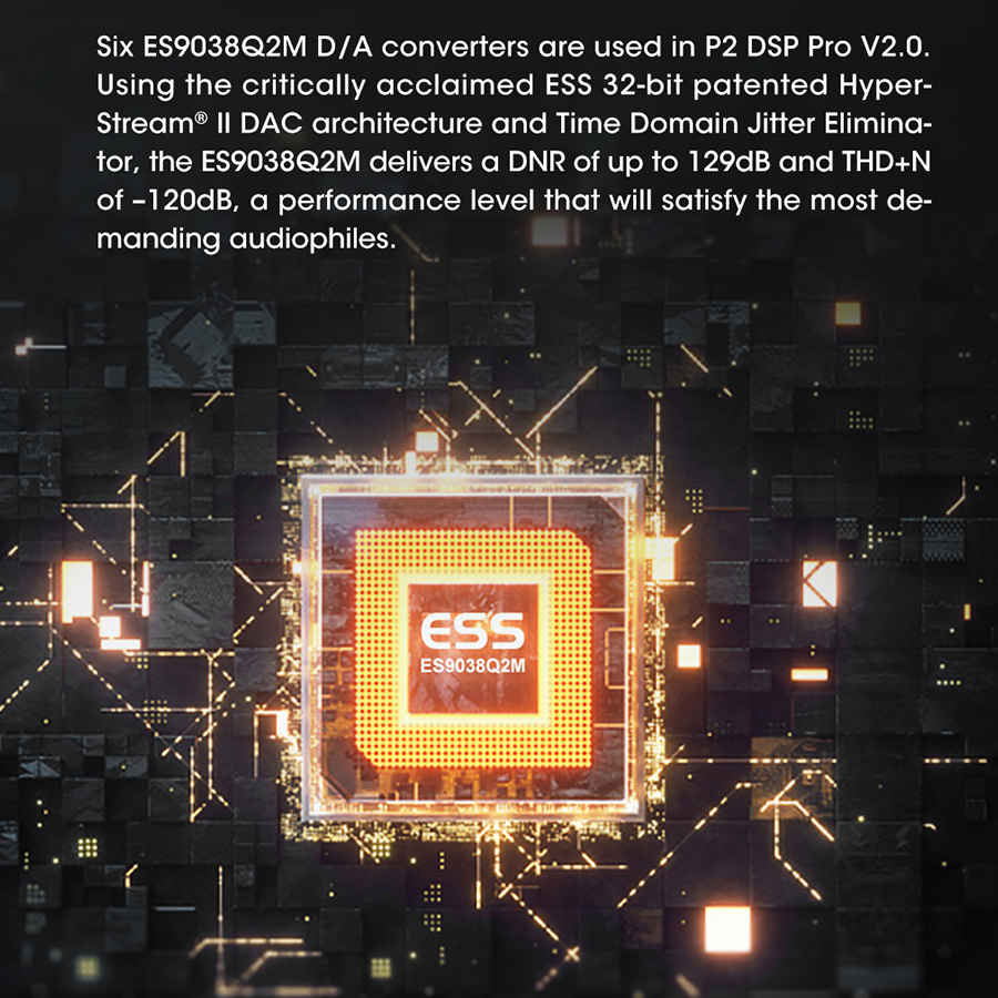GOLDHORN DSD P2 PRO V2