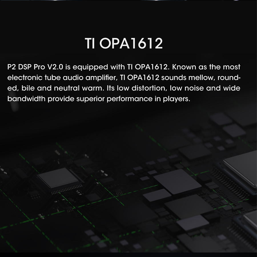 GOLDHORN DSD P2 PRO V2
