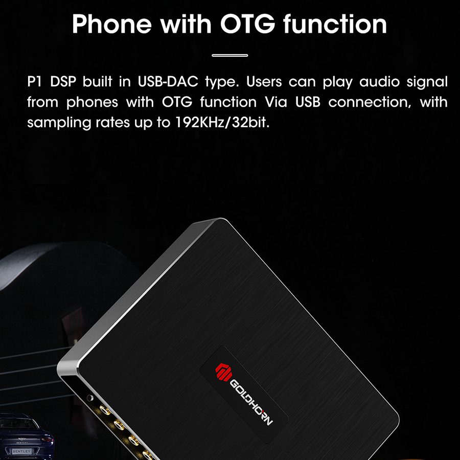 BỘ XỬ LÝ CHẤT LƯỢNG CAO GOLDHORN P1 DSP - 10 CHANNEL DSP/DSD