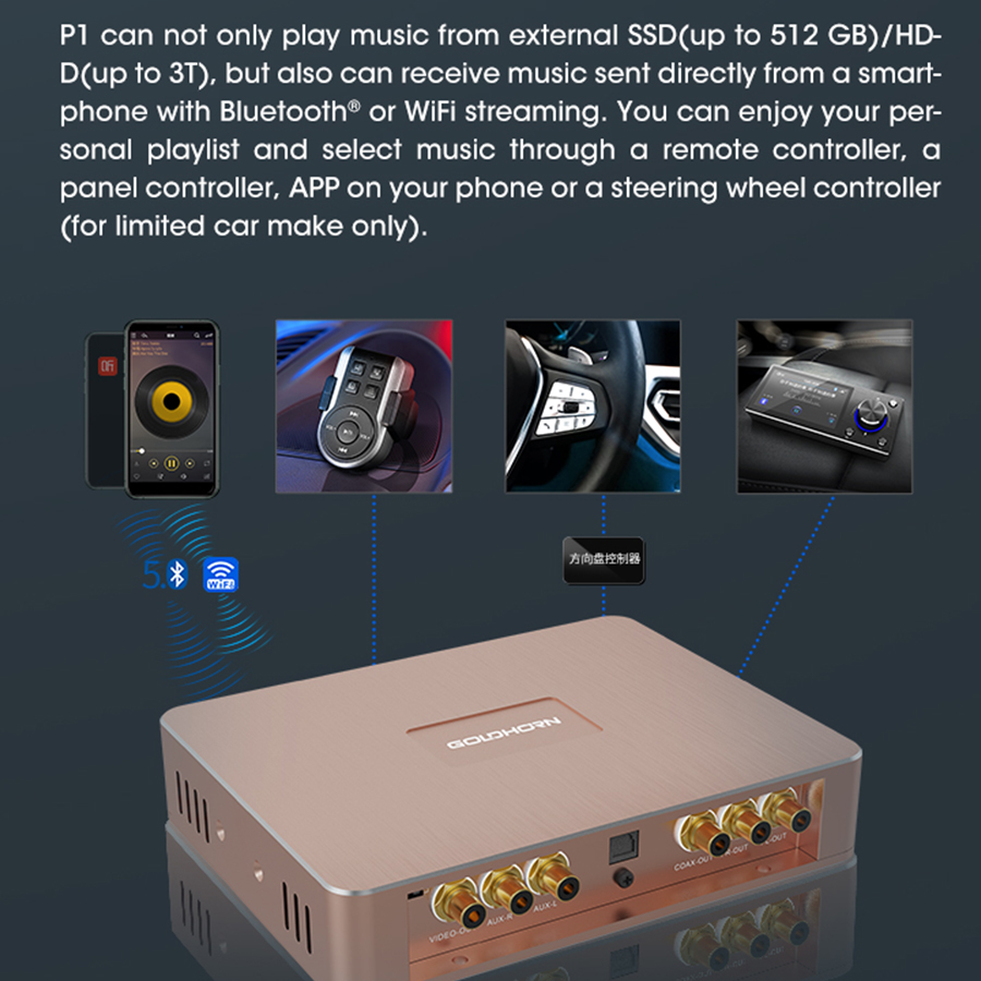 ĐẦU PHÁT CHẤT LƯỢNG CAO GOLDHORN P1 PLAYER