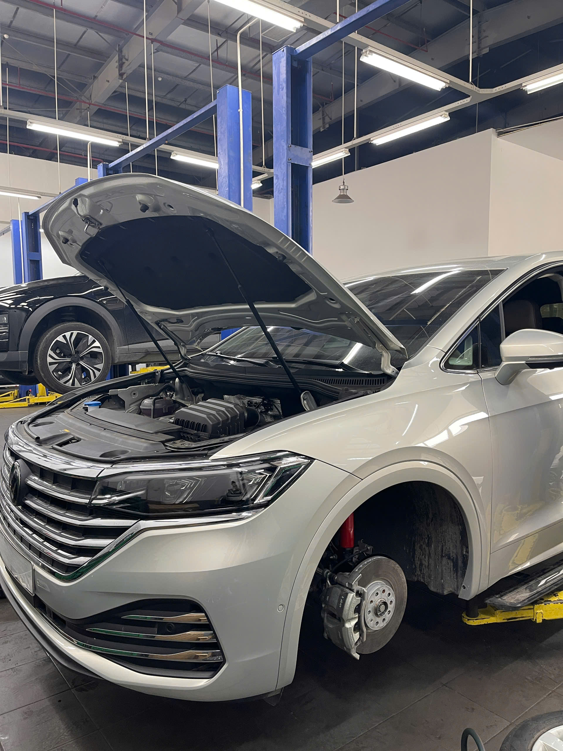 do phuoc koni alphard