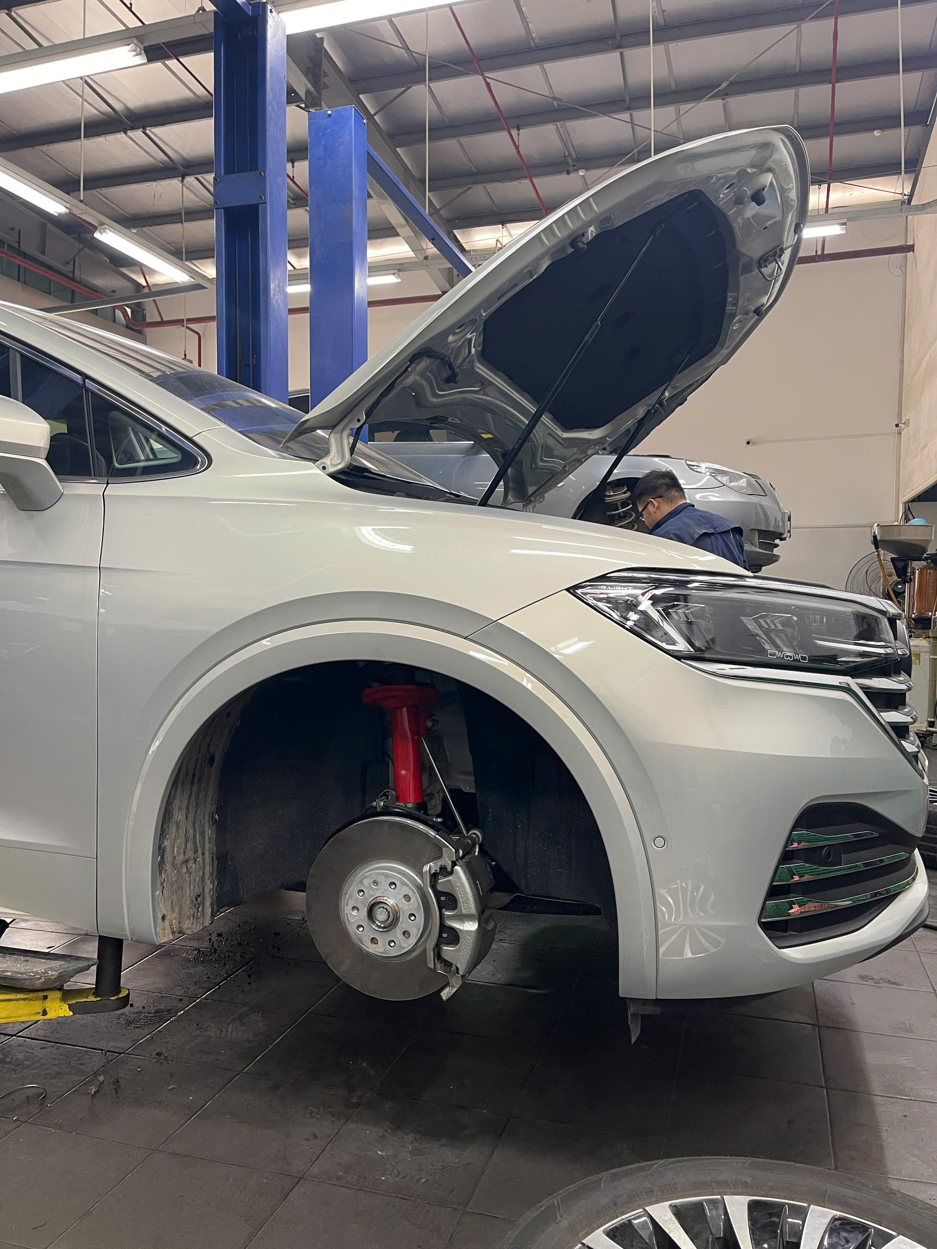 do phuoc koni alphard
