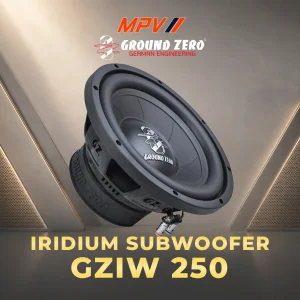 Loa Subwoofer 10" GZIW 250