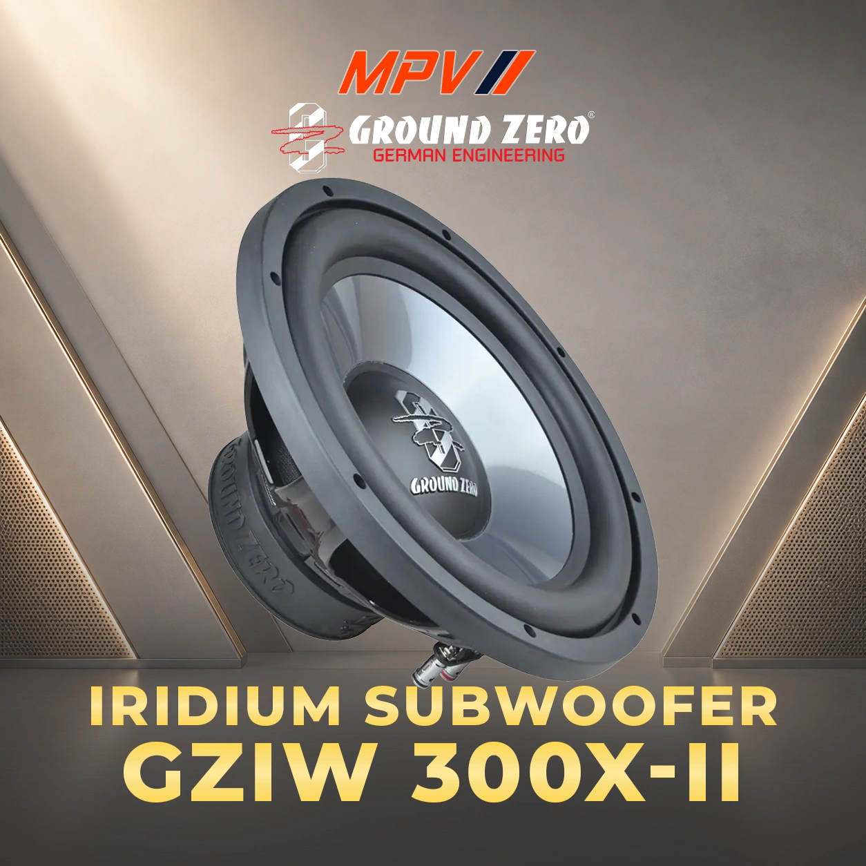 Loa Subwoofer 12" GZIW 300X-II
