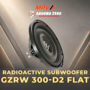 Loa Subwoofer 12" GZRW 300-D2 FLAT